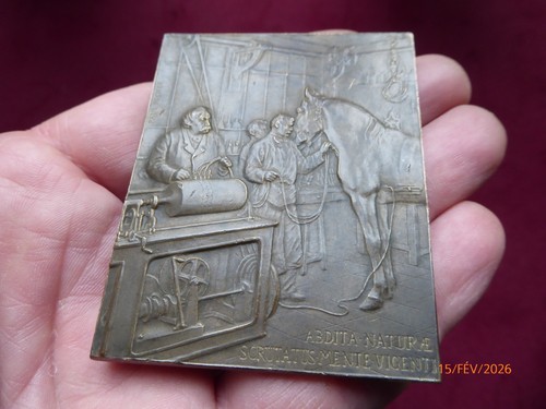 Médaille plaque paul - plaque,