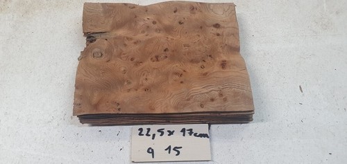 Placage loupe orme - loupe,