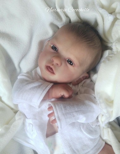 Reborn aleyna g legler - de, g.