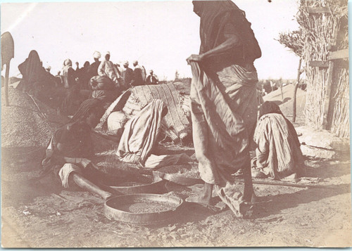 Egypte assouan trieuses - egypte,, assouan,