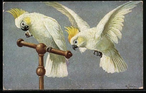 Carte postale artiste - postale, alfred