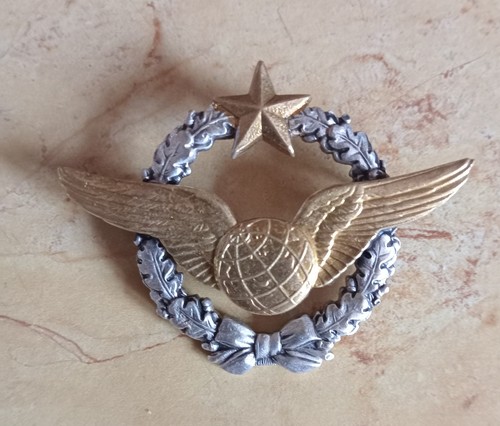 Insigne brevet navigateur - /,