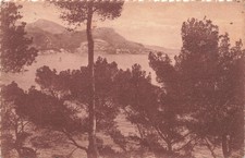 06 SAINT JEAN CAP FERRAT LA TETE DE CHIEN