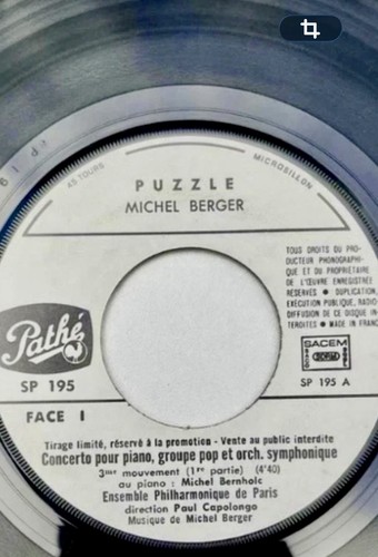 Michel berger puzzle 45t promo - 45t,