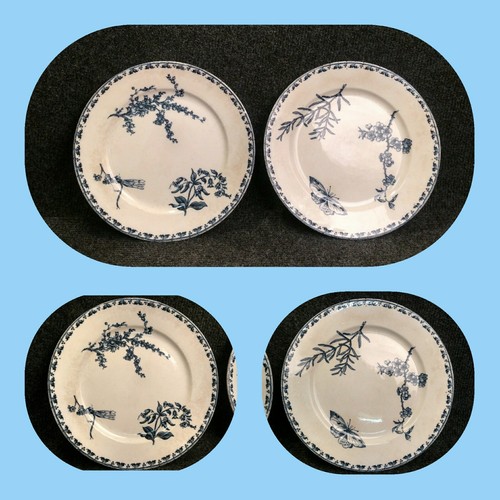 Lot assiettes plates - assiettes,