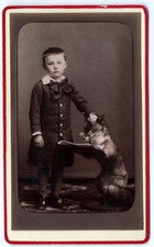 photo cdv curiosité 1880 garçon et renard à lunette- taxidermie fox