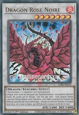 Yu-Gi-Oh! Dragon Rose Noire : UR LDS2-FR110