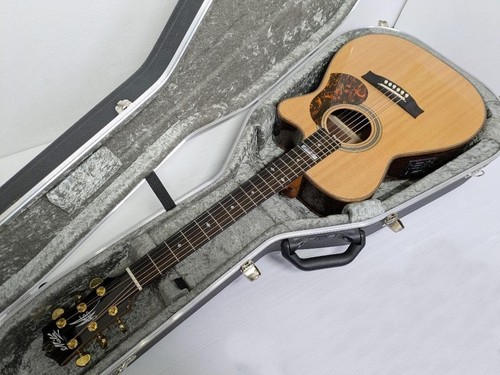 Guitare acoustique électrique