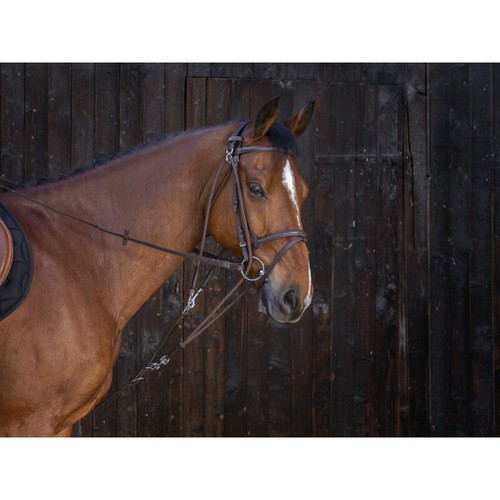Gogue poulies riding world - riding,
