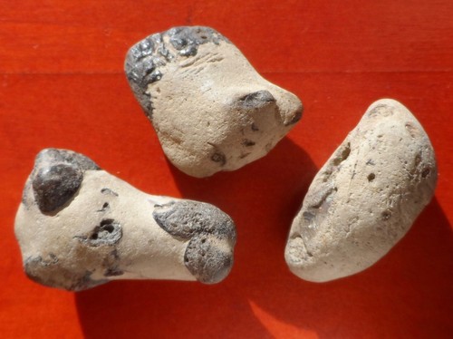Nodules crabes fossiles - 3, À