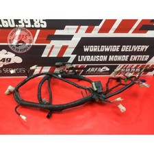 Faisceau électrique