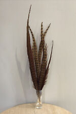 Lot De 6 Plumes De Faisan Décoration