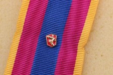 Agrafe Insigne FAS Or