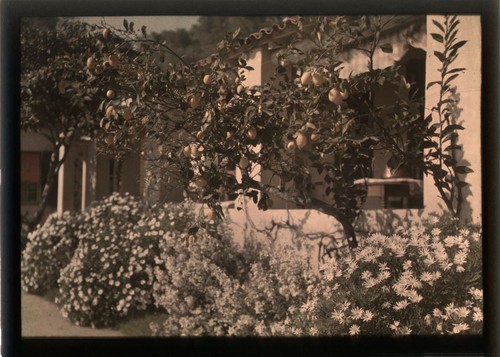 Autochrome sud la - autochrome, (13x18)