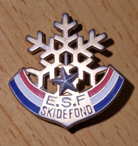 Broche ski ecole - de,