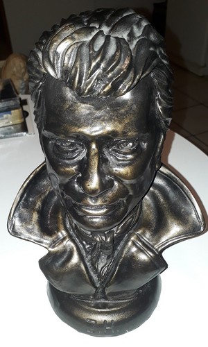 Johnny hallyday rare tete - hallyday,
