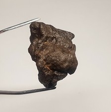 Meteorite Chondrite NWA du