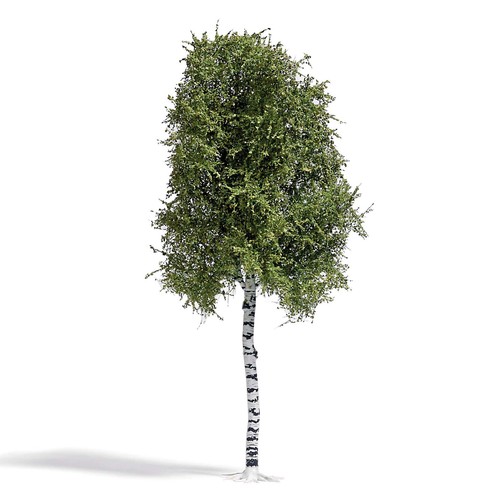 Arbre bouleau été - d'Été, 170mm