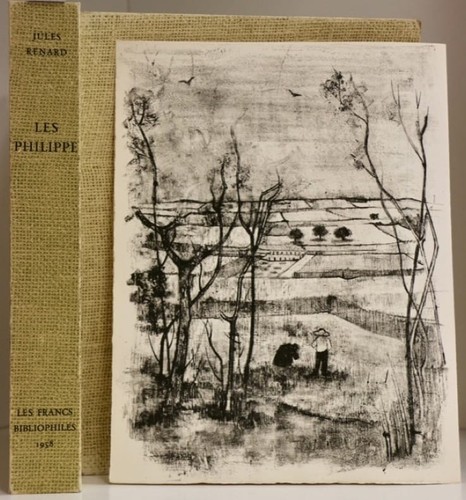 Minaux renard - (andré),