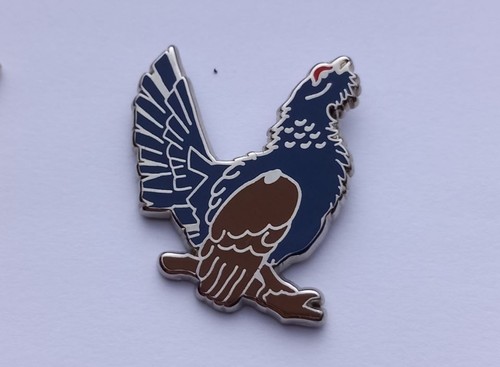Eb27 pin grand tetras - coq, de