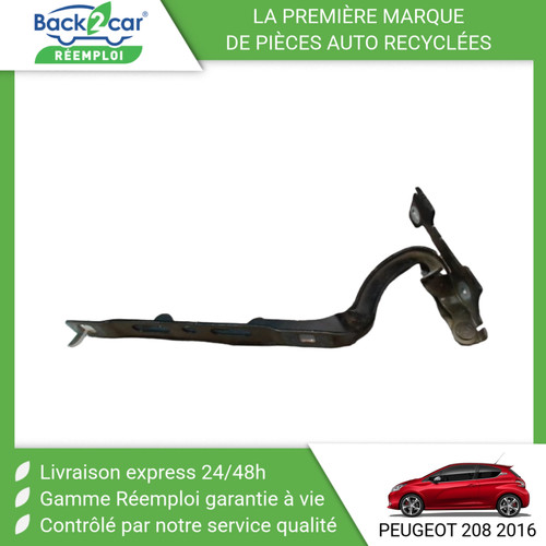 Compas gauche capot - 🏆,