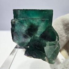 Spécimen zonal de cube de