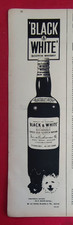 Publicité de presse Belge: Boisson Alcoolisée Scotch Whisky BLACK & WHITE 1965
