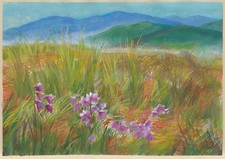 orchidées en fleurs dans les