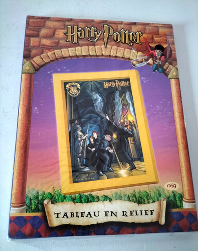 Harry potter tableau - harry, en
