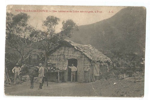 Nouvelle caledonie poya - caledonie, une