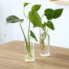 Vase à fleurs en verre