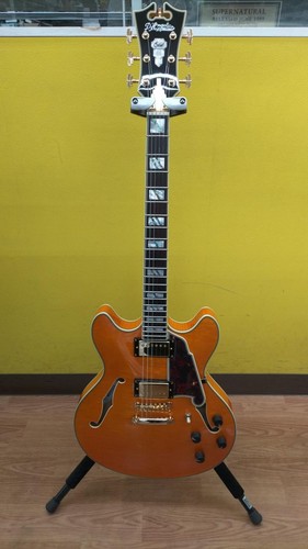 Guitare électrique