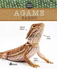 Agame barbu de not specified | Livre | état très bon