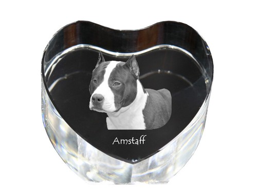 American staffordshire terrier - american,