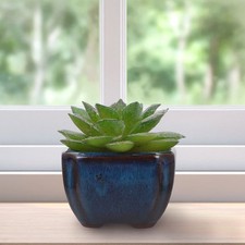  Petit Pot De Fleur Interieur