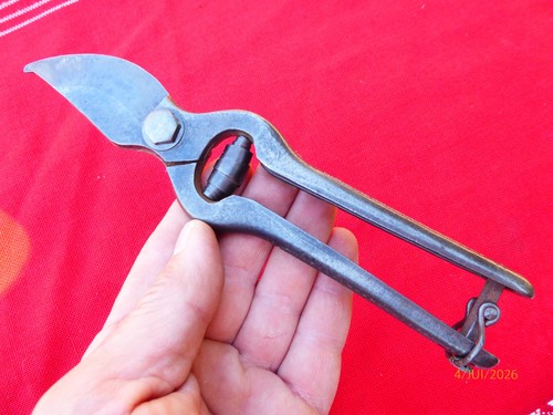 Secateur viticulteur - secateur,