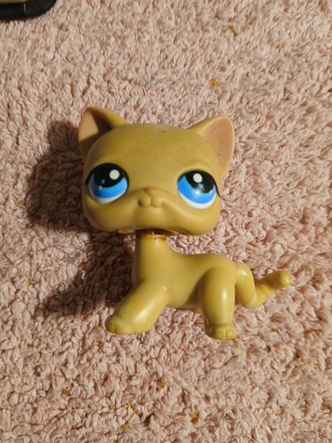 Petshop hasbro cat - cat, chat