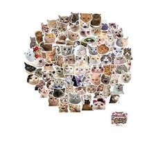 100 feuilles d'autocollants