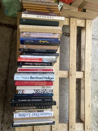 Lot beaux livres art - 43,