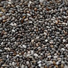 Lot De 200 Graines De Graines De Chia Salvia Hispanica Semences Graines Seed