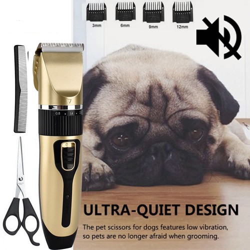Tondeuse pour chien - tondeuse,