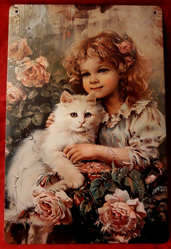 Occasion plaque metal - occasion,
