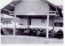 Photo Java,étendage du tabac