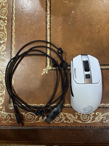 Roccat 2022 mouse - roccat,