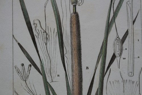 Gravure turpin 1820 1830 - turpin,