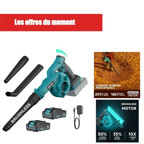 Souffleur feuilles pulituo - de,