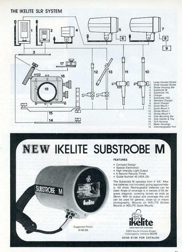 1981 ikelite print - print, ad