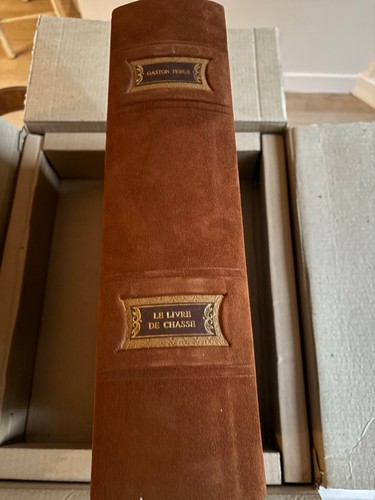 Gaston phébus fébus livre - gaston,