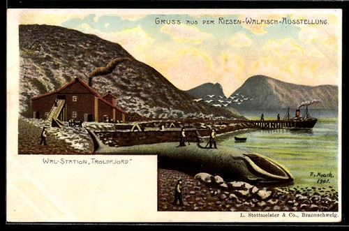 Lithographie troldfjord - lithographie,