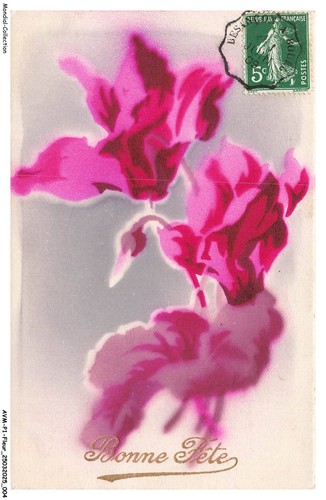 Avmp1 0003 flower pink - pink, lily